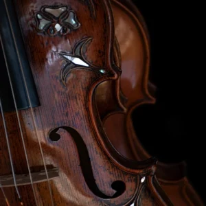 Violine cover bild für einen Beat Sad Viol